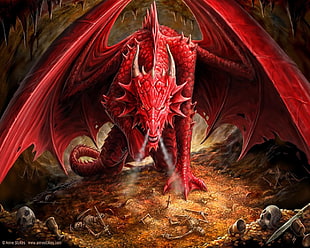 red dragon illustration, dragon, digital art, fantasy art, Anne Stokes