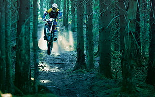 man riding motorcycle on forest HD wallpaper