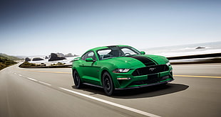 green and black Ford Mustang coupe