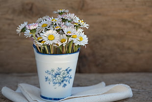 photo of white Daisy flowers in white ceramic pot HD wallpaper