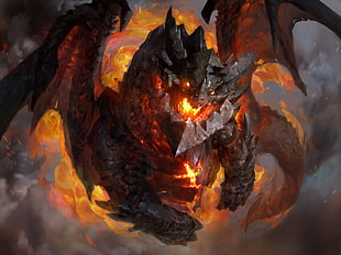 black dragon with fire wallpaper