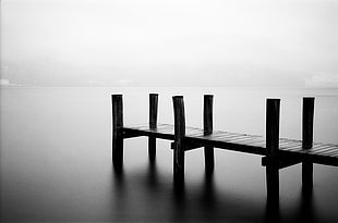 gray scale photography of wooden dock on body of water, weggis, ilford