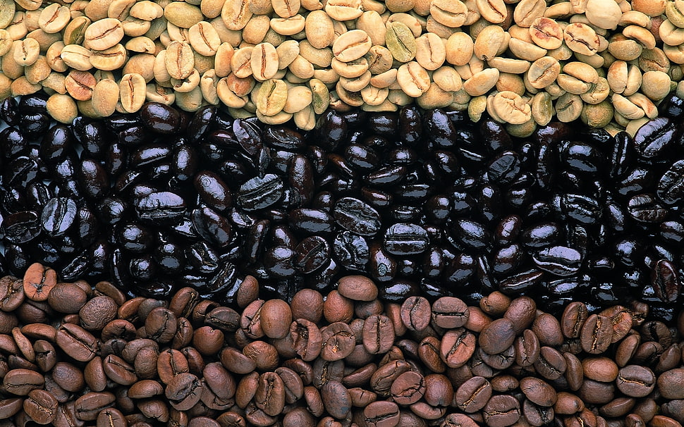 roasted coffee beans HD wallpaper