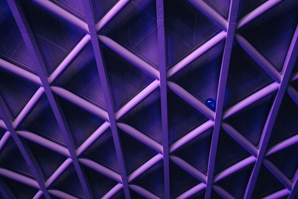 purple digital wallpaper HD wallpaper