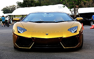 gold metallic car, Lamborghini, car, gold, India