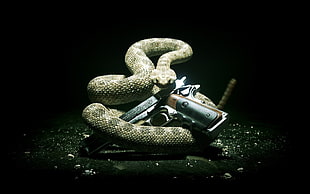 brown snake and black and brown pistol, Hitman: Absolution, Hitman, gun, Silverballer