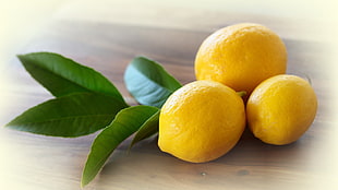 three lemons, food, lemons, fruit HD wallpaper