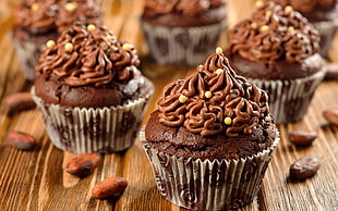 several chocolate cupcakes on brown wooden surface HD wallpaper
