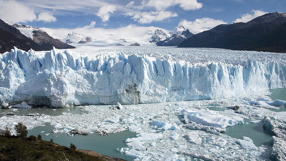 green leafed plants, iceberg, Argentina, glaciers, nature HD wallpaper