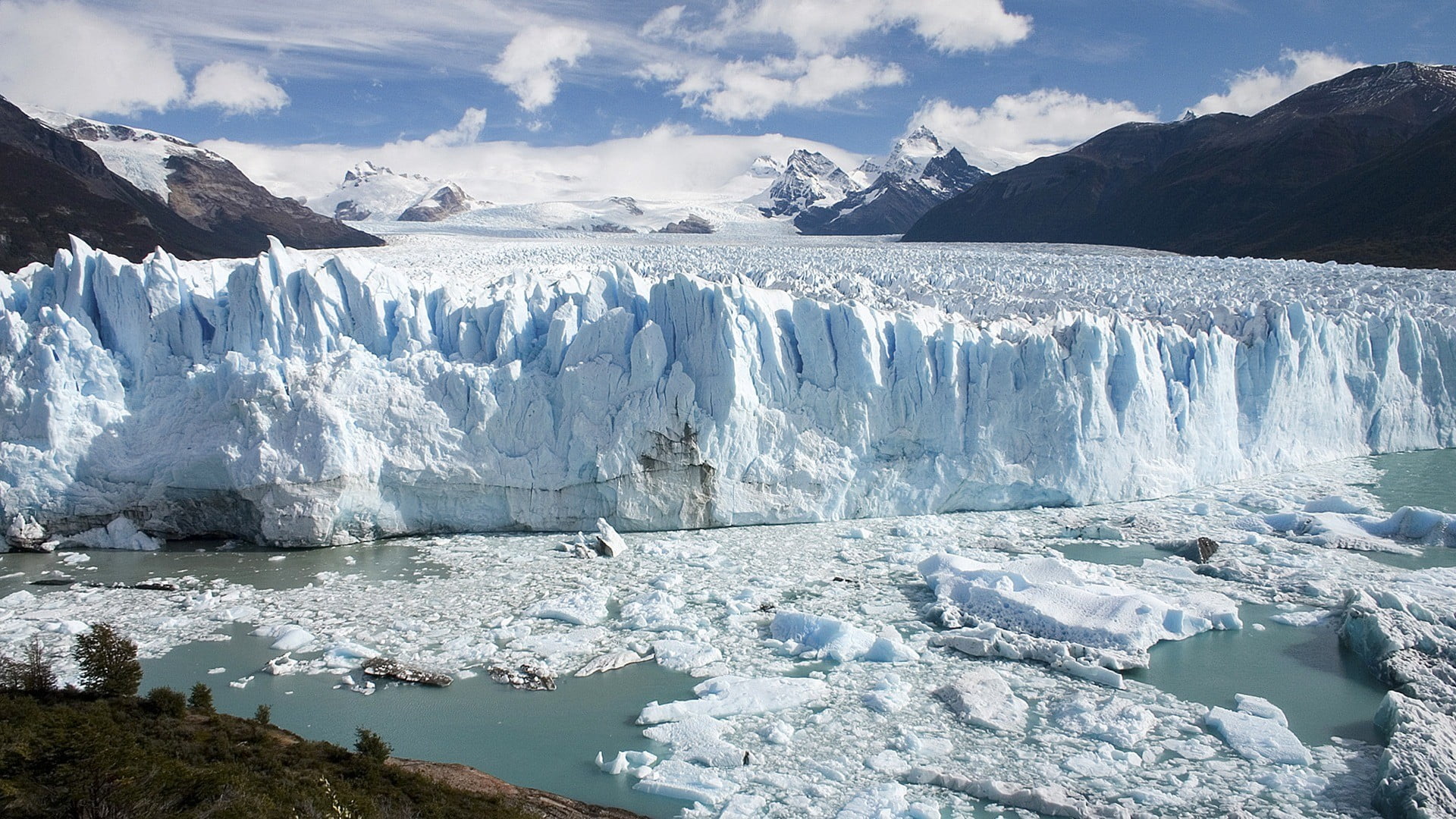 green leafed plants, iceberg, Argentina, glaciers, nature