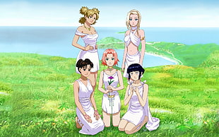 five female Naruto characters digital wallpaper