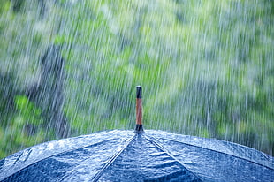 black umbrella, rain, umbrella