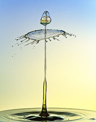 macro shot photography of water drp