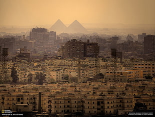 aerial photo of city buildings, pyramid, city, National Geographic, Egypt