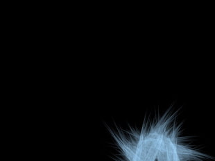 Down,  Feathers,  Black,  White