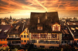 high angle-photography of cityscapes, town, house HD wallpaper