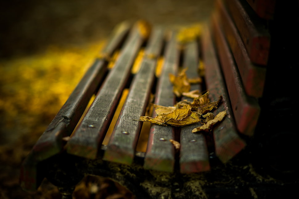 brown wooden bench, bench, fall, leaves HD wallpaper