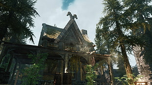 brown and beige house, The Elder Scrolls V: Skyrim, nature, town