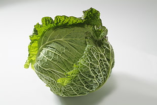 green cabbage HD wallpaper