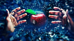 person reaching red apple illustration digital wallpaper