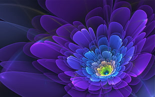 graphics photo of purple petaled flower