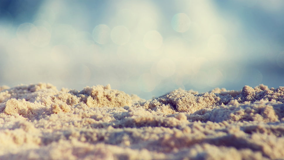 selective focus photography of beige surface HD wallpaper