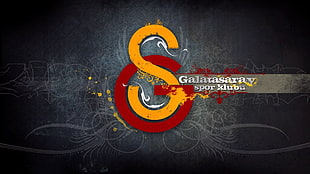 Galatasaray logo, Galatasaray S.K.