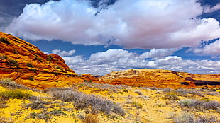 landscape photo of mountain, landscape HD wallpaper