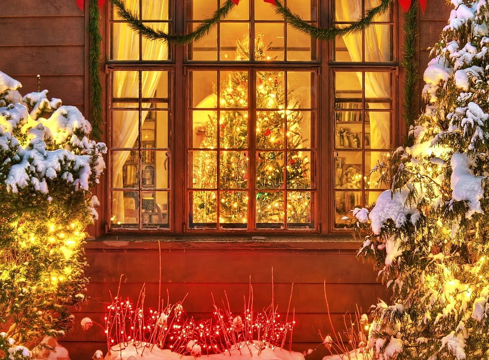 window showing lighted Christmas tree inside HD wallpaper