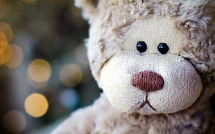 selective focus photography of brown bear plush toy HD wallpaper