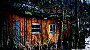 brown and gray wooden house, cabin, wood, nature, winter