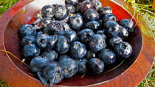 blueberry fruits, blueberries, fruit HD wallpaper