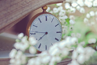 round gold-colored pocket watch near flowers HD wallpaper
