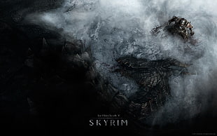 Skyrim poster, The Elder Scrolls V: Skyrim, Dovakhiin, Bethesda Softworks, blood