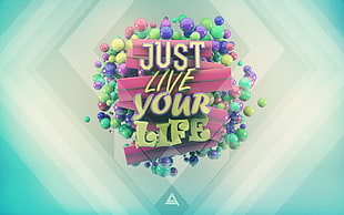 Just Live Your Life sayings accent decor