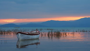white and brown boat, lake, nature, boat