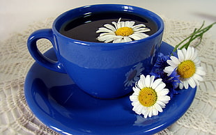 daisy flowers on saucer and tea cup