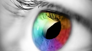 multicolored eye, eyes, selective coloring, closeup