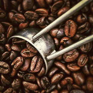 macro shot of coffee beans HD wallpaper
