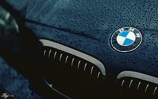 BMW logo, car, BMW, closeup, logo