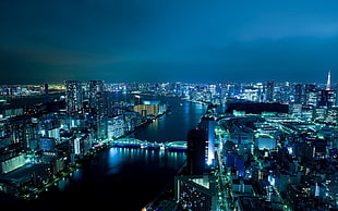 city buildings light during night time, tokyo