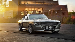 gray muscle car, car, Shelby GT, Ford Mustang, Elanoar