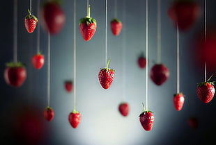 depth of field photography of hanged Strawberries