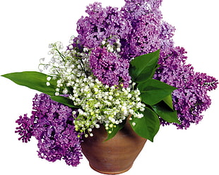 white Lily of the Valley and purple Lilac flower bouquet
