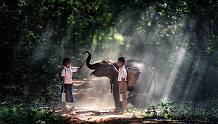two girl and boy holding baby elephant on dirty pathway