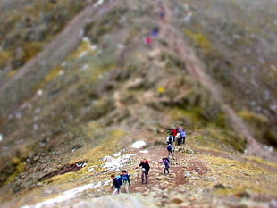 shallow focus photography of group of mountaineers