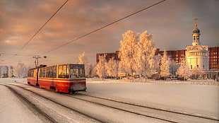 orange and white tram, winter, St. Petersburg, city, tram