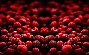 shallow focus photography of raspberries HD wallpaper