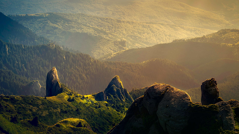 landscape, mountains, nature, forest HD wallpaper