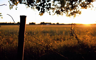 selective focus photo of brown wooden fnce HD wallpaper